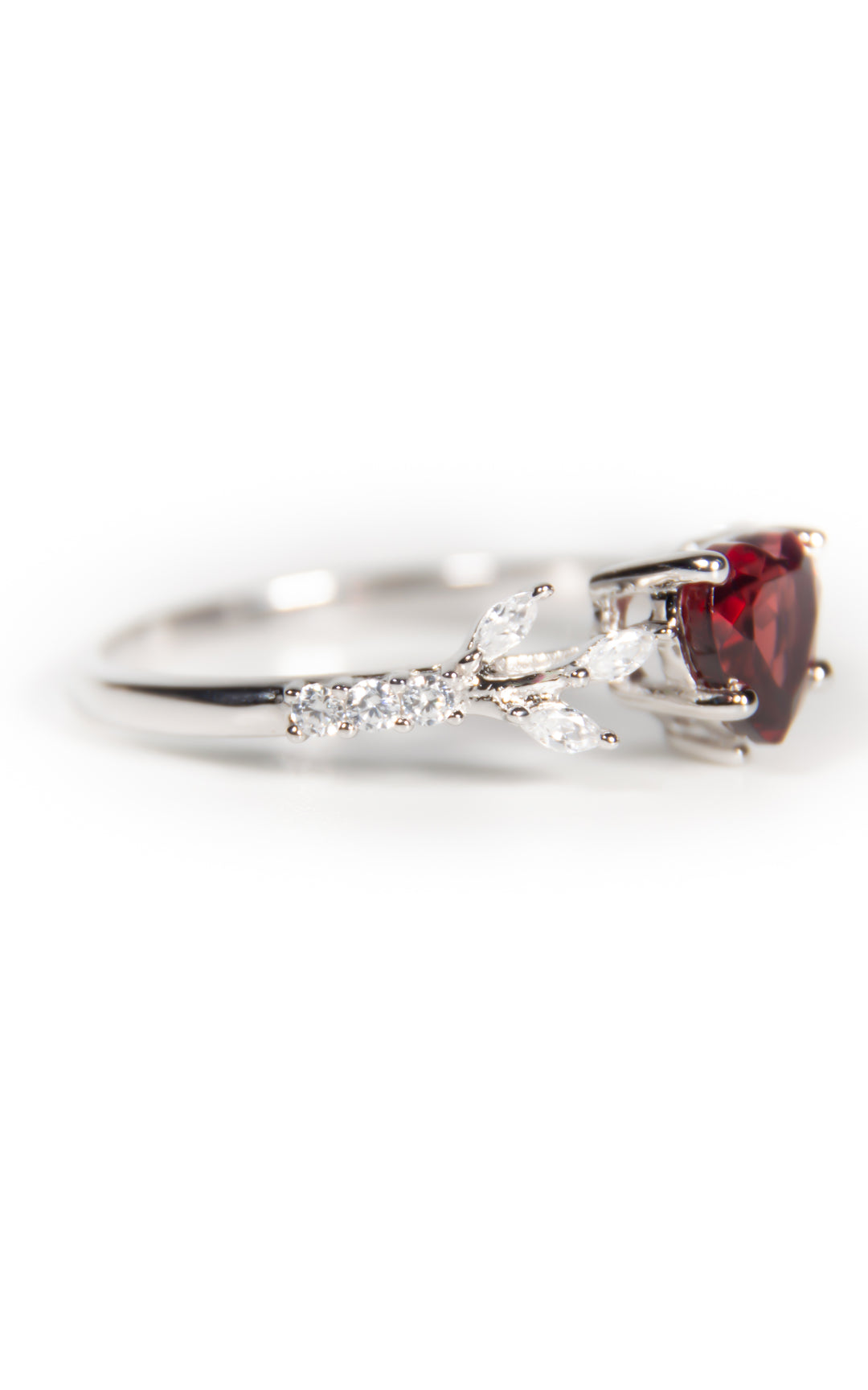 Shape Of Passion Argento